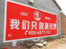 白河刷墙广告”蕴含了时代命题