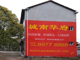 白河百分之90的人都不了解的农村墙体广告