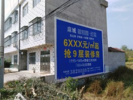 白河墙体广告质量分析