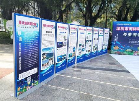 白河KT板的种类和知识。